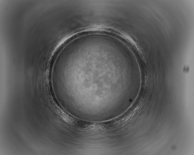 X0000101161216200806271001