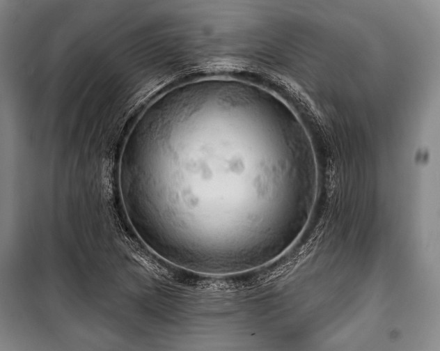 X0000101161217200806271001