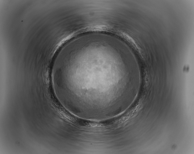 X0000101161218200806271001
