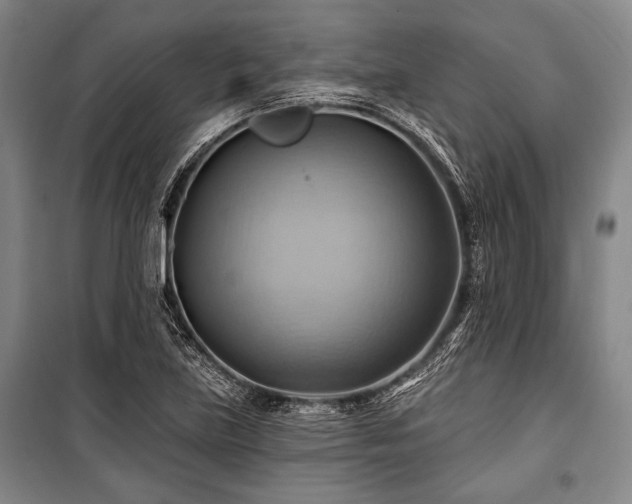 X0000101161219200806271001