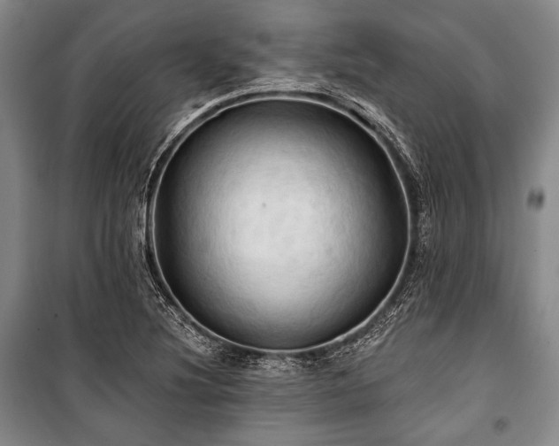 X0000101161220200806271001