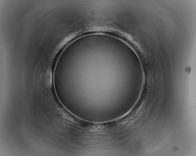 X0000101161221200806271001