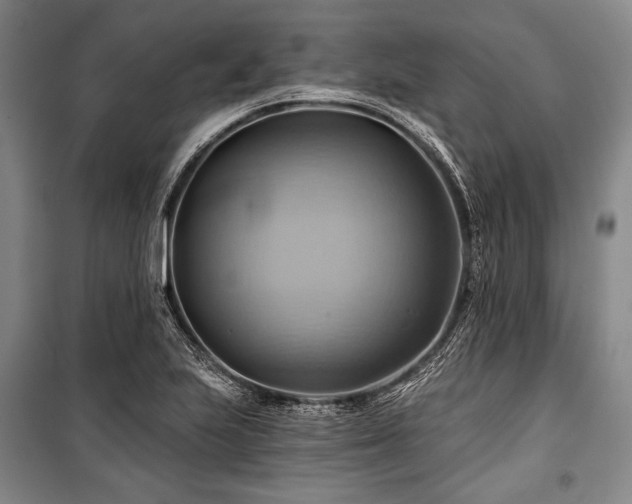X0000101161223200806271001