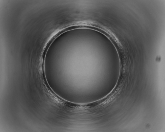 X0000101161224200806271001