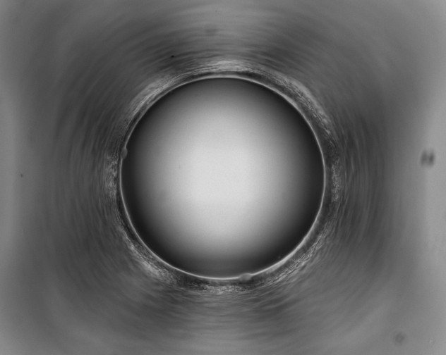 X0000101161225200806271001
