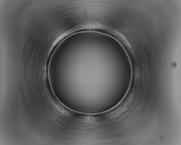 X0000101161226200806271001