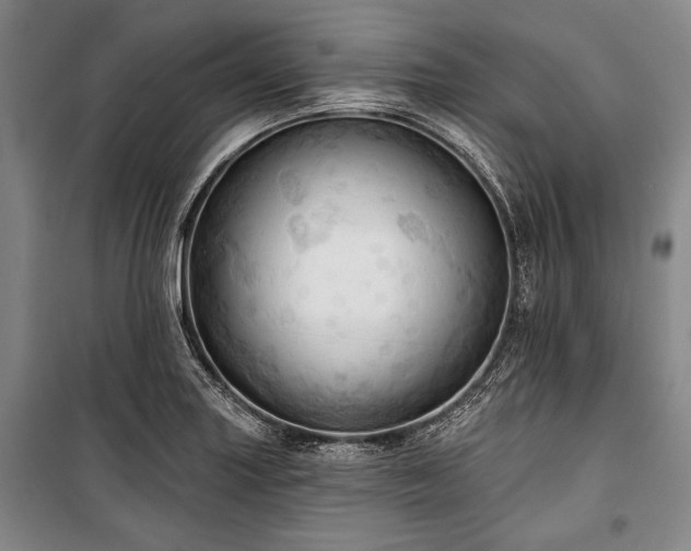 X0000101161227200806271002