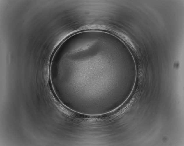 X0000101161228200806271002