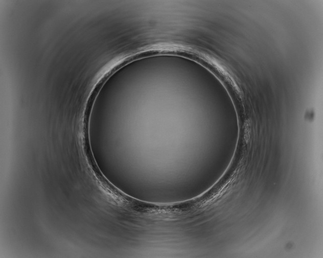X0000101161229200806271002
