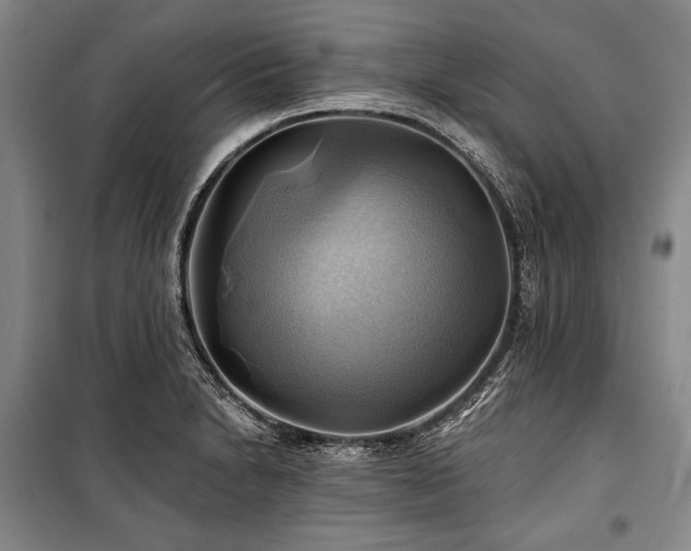 X0000101161230200806271002