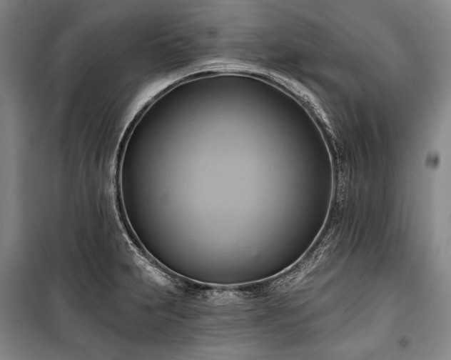 X0000101161231200806271002