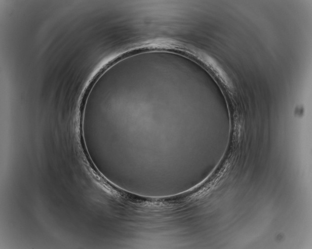 X0000101161232200806271002