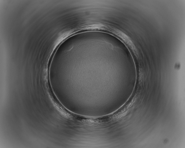 X0000101161234200806271002