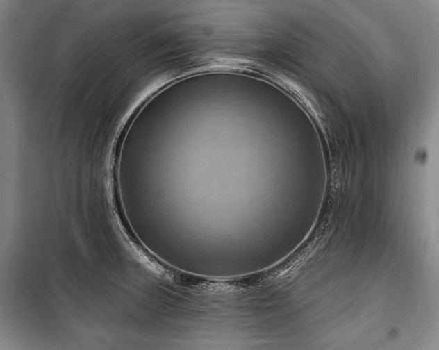 X0000101161235200806271002