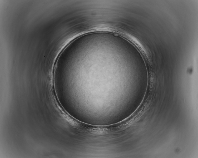 X0000101161236200806271002