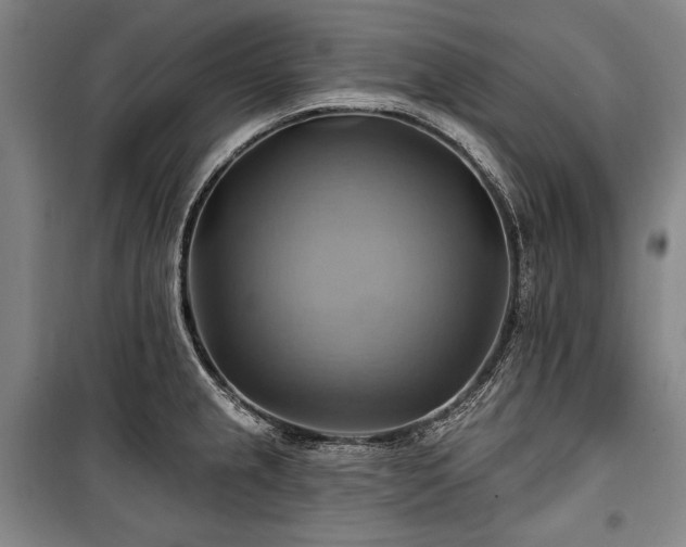 X0000101161237200806271002