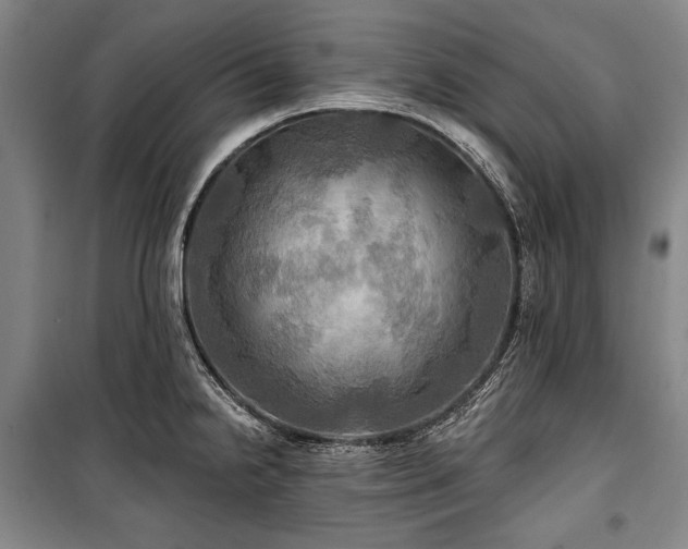 X0000101161238200806271002
