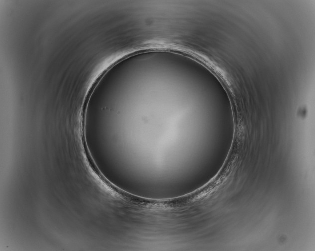 X0000101161239200806271002