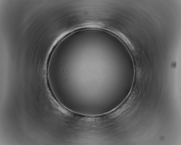X0000101161240200806271002