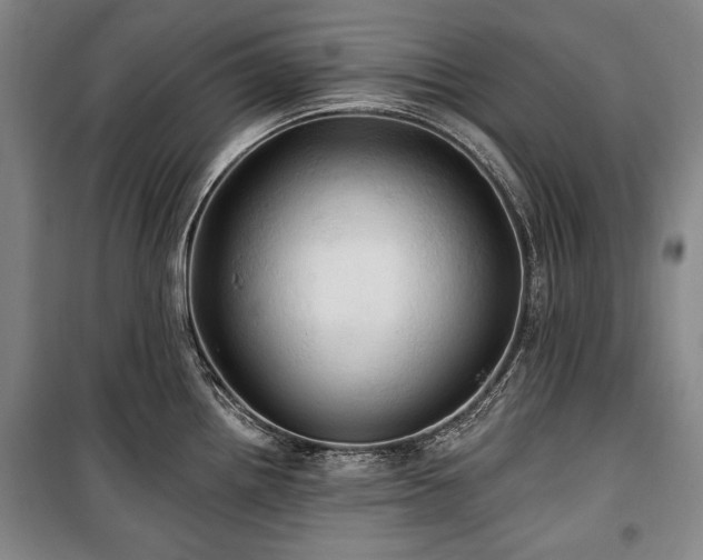 X0000101161242200806271002