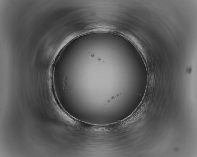X0000101161243200806271002