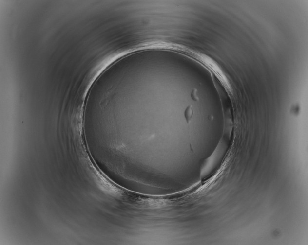 X0000101161244200806271002
