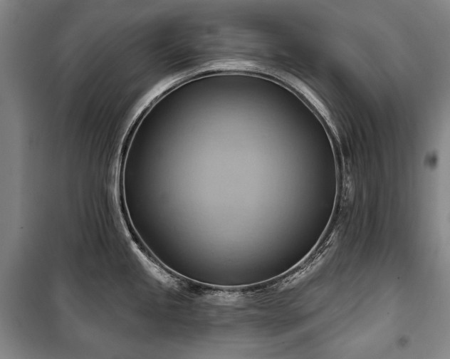 X0000101161245200806271002