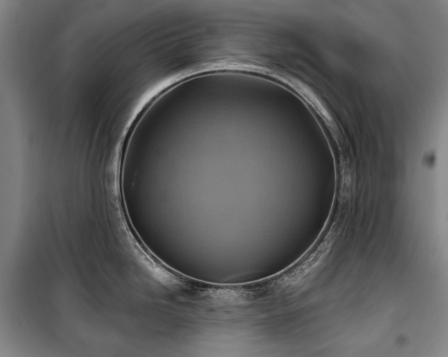 X0000101161246200806271002