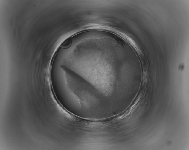 X0000101161247200806271002