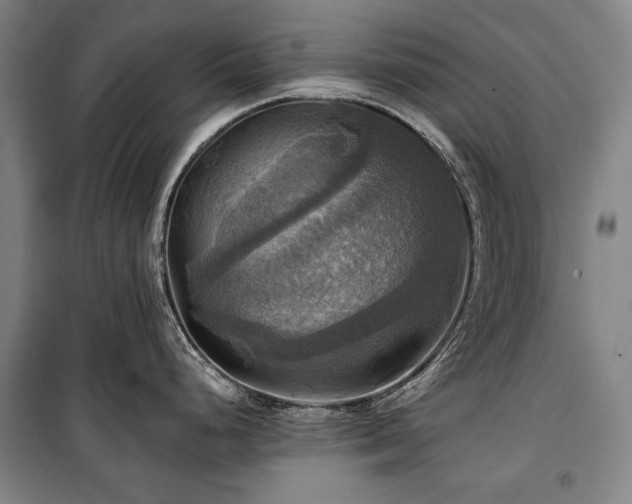 X0000101161248200806271002