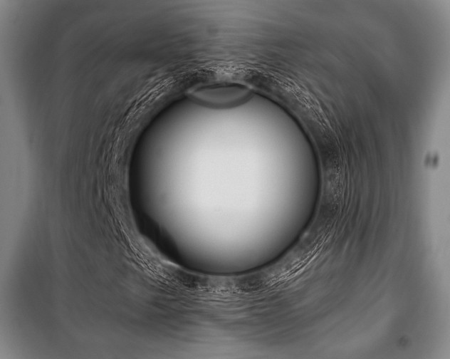 X0000101161249200806271001