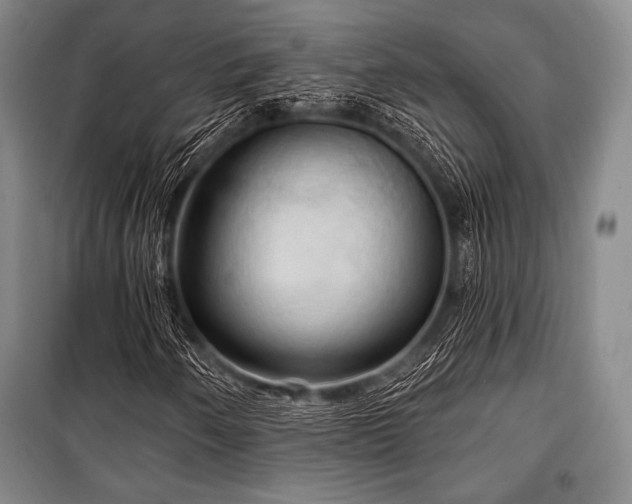 X0000101161250200806271001