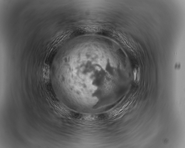 X0000101161251200806271001