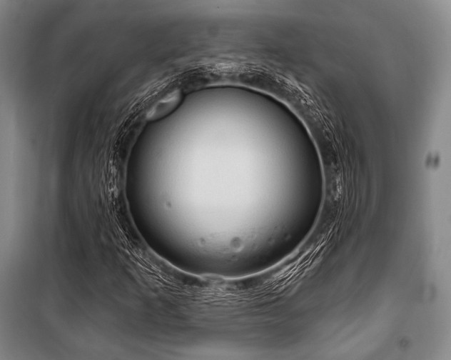 X0000101161253200806271001
