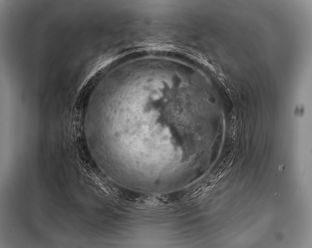 X0000101161255200806271001