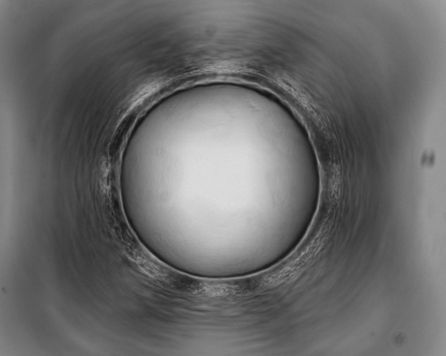 X0000101161258200806271001