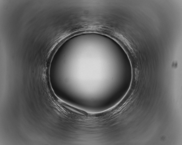 X0000101161260200806271001