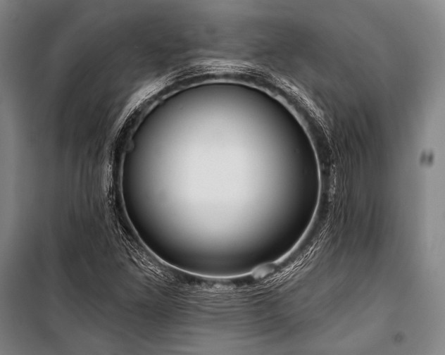 X0000101161261200806271001