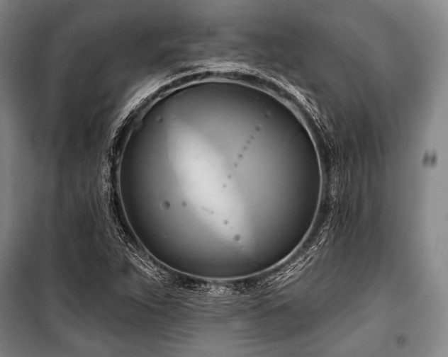 X0000101161263200806271001