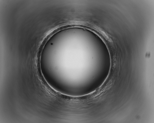 X0000101161264200806271001