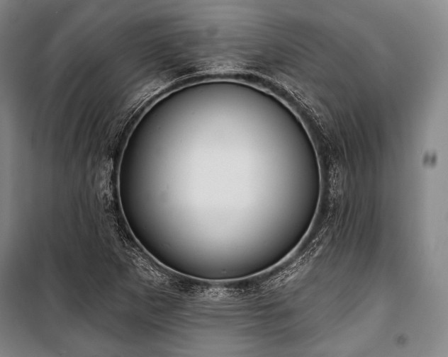 X0000101161265200806271001