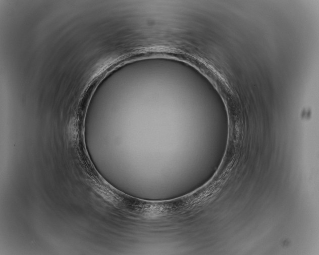 X0000101161266200806271001