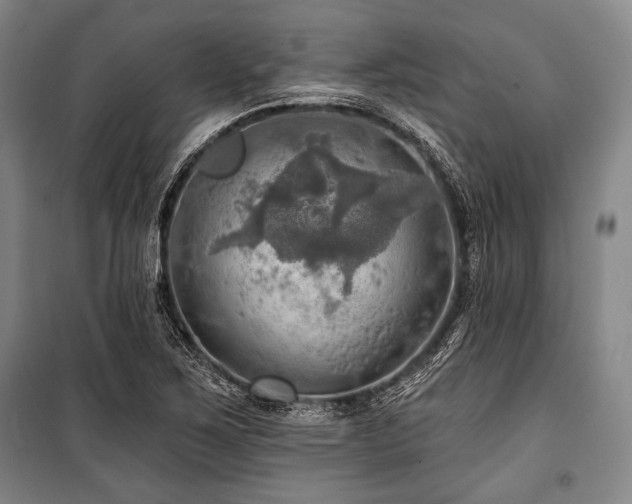 X0000101161267200806271001