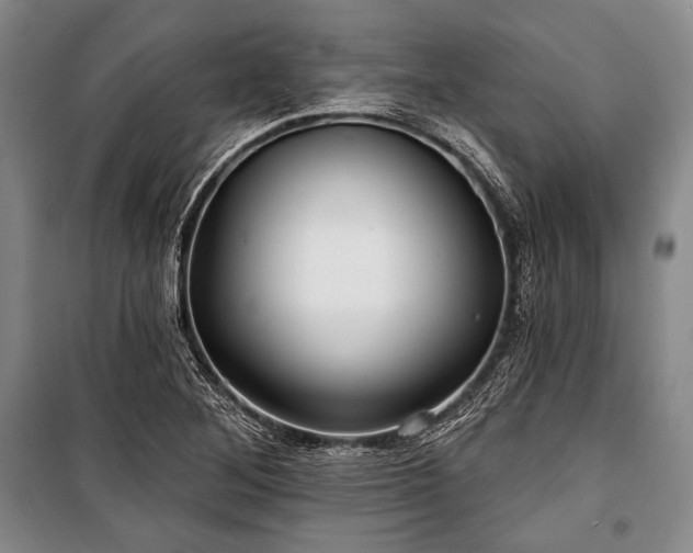 X0000101161268200806271001