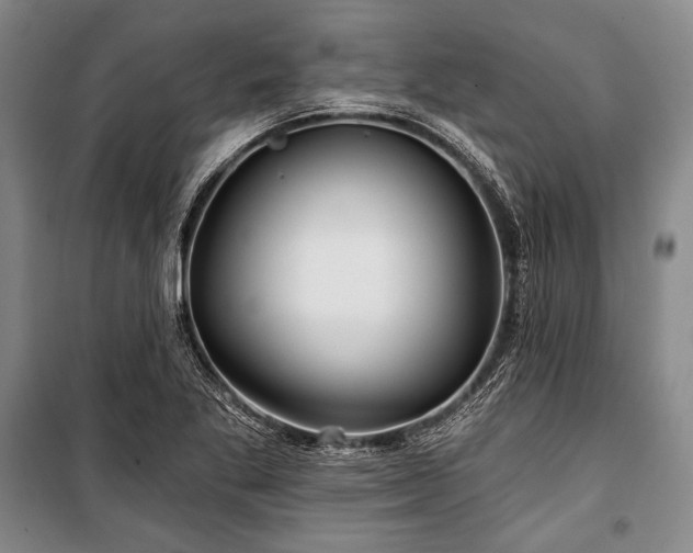 X0000101161269200806271001