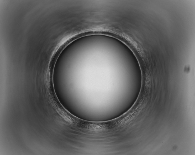 X0000101161270200806271001