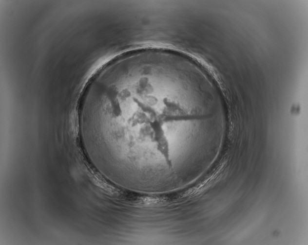 X0000101161271200806271001