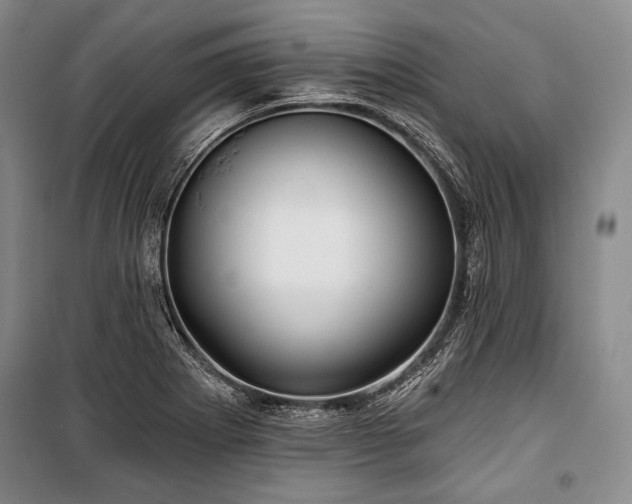 X0000101161273200806271001