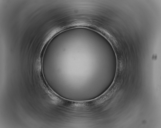 X0000101161274200806271001