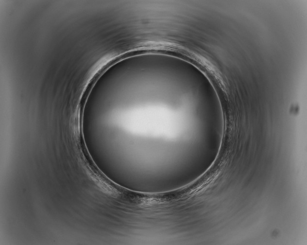 X0000101161275200806271001